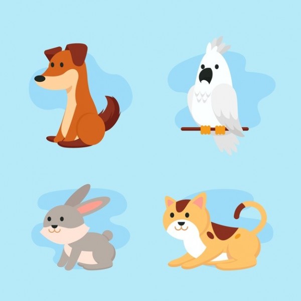Animali domestici